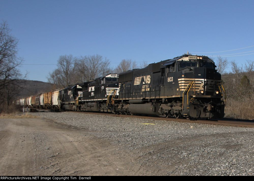 NS 1803 leads 316